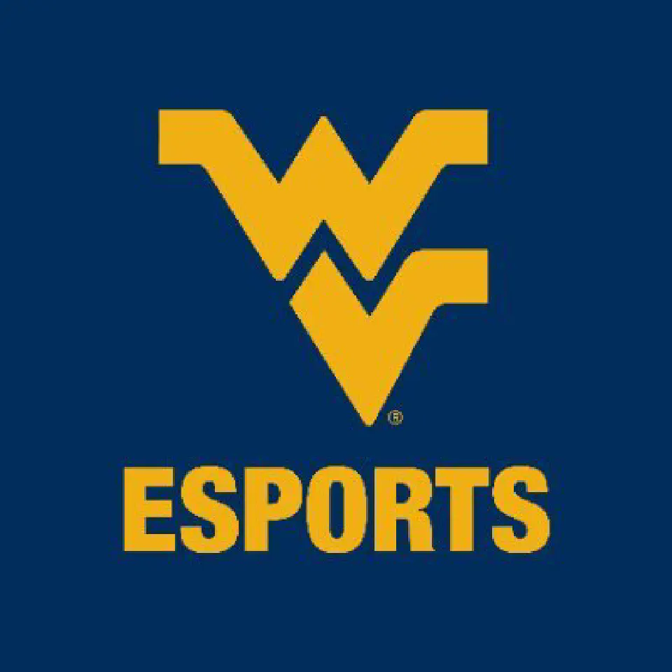 Esports logo